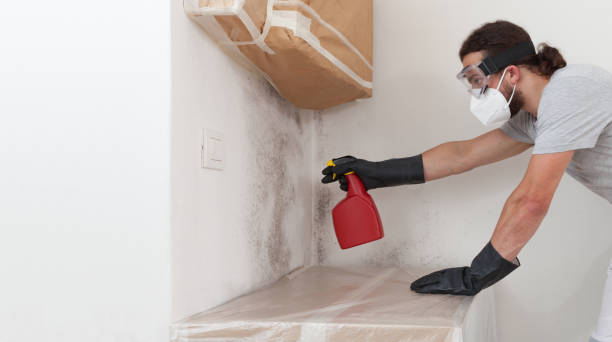 Professional Mold Remediation technician working in Beulah, MI