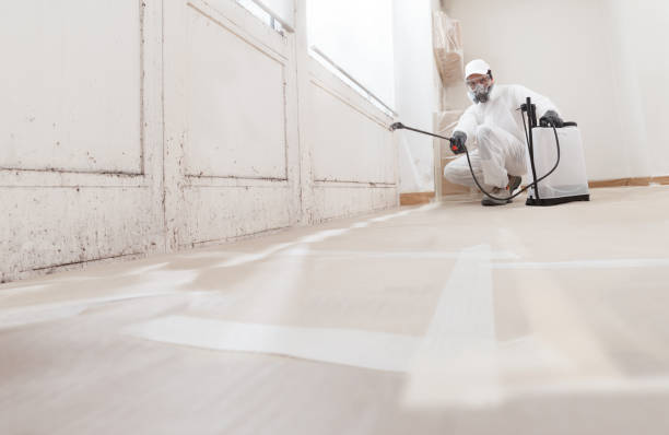 24/7 Emergency Mold Remediation experts in Beulah, MI