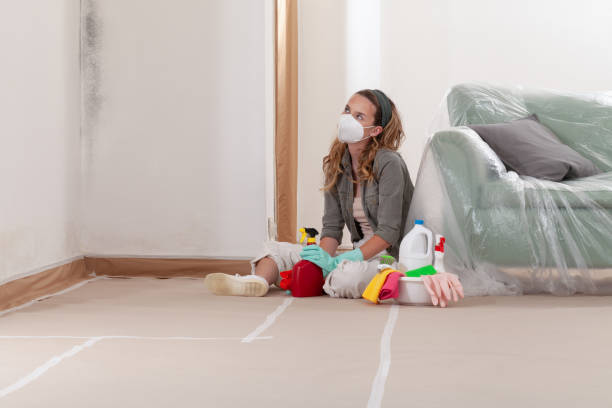 Reliable Mold Remediation contractor in Beulah, MI by Cheap Mold Removal